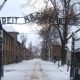 Auschwitz: come è possibile che la mente umana abbia generato tanto male?