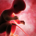 Aborto: come siamo arrivati dalla “non punibilità” al “diritto umano”?