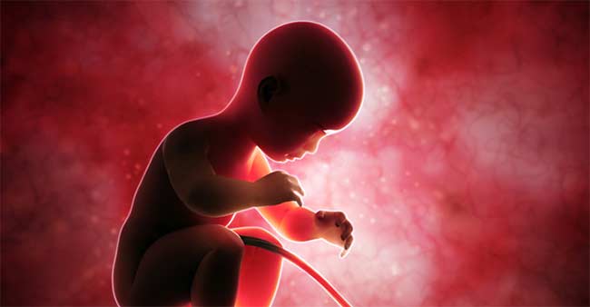 bambini gravidanza feto aborto